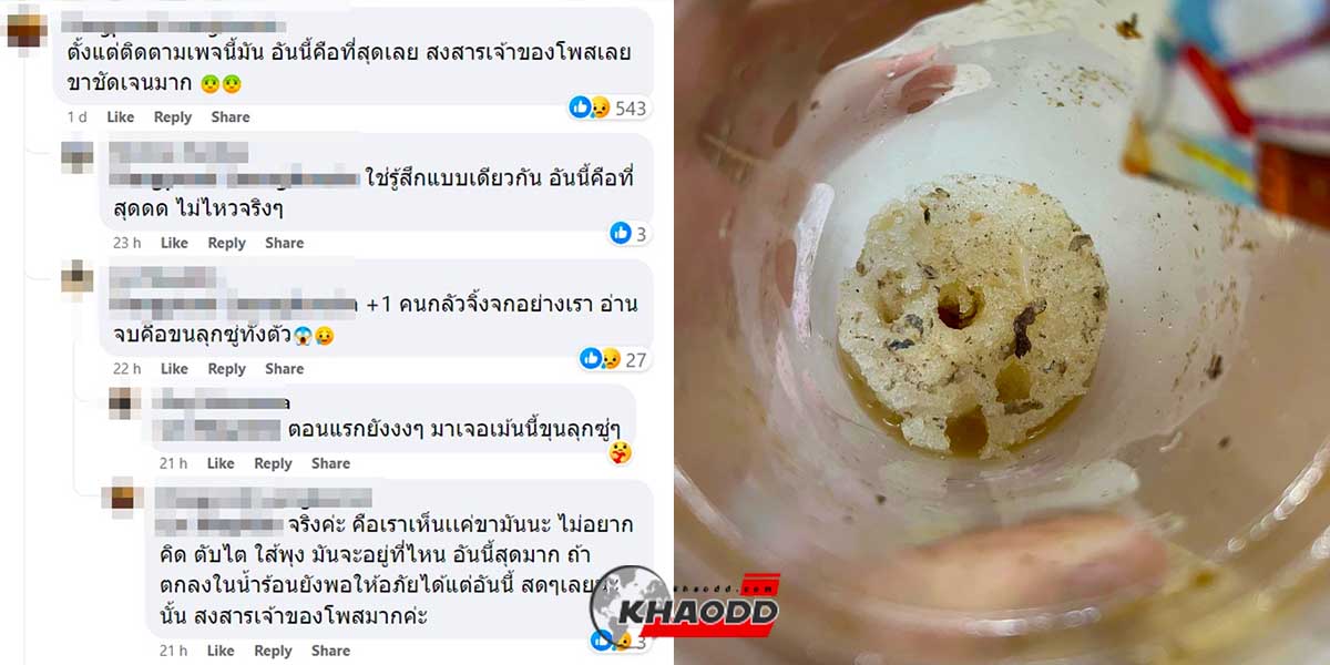 เจอเศษสัตว์ ในกาแฟปั่น สาวกรี๊ดหนักมาก เพราะกินเกือบหมดแก้ว! 