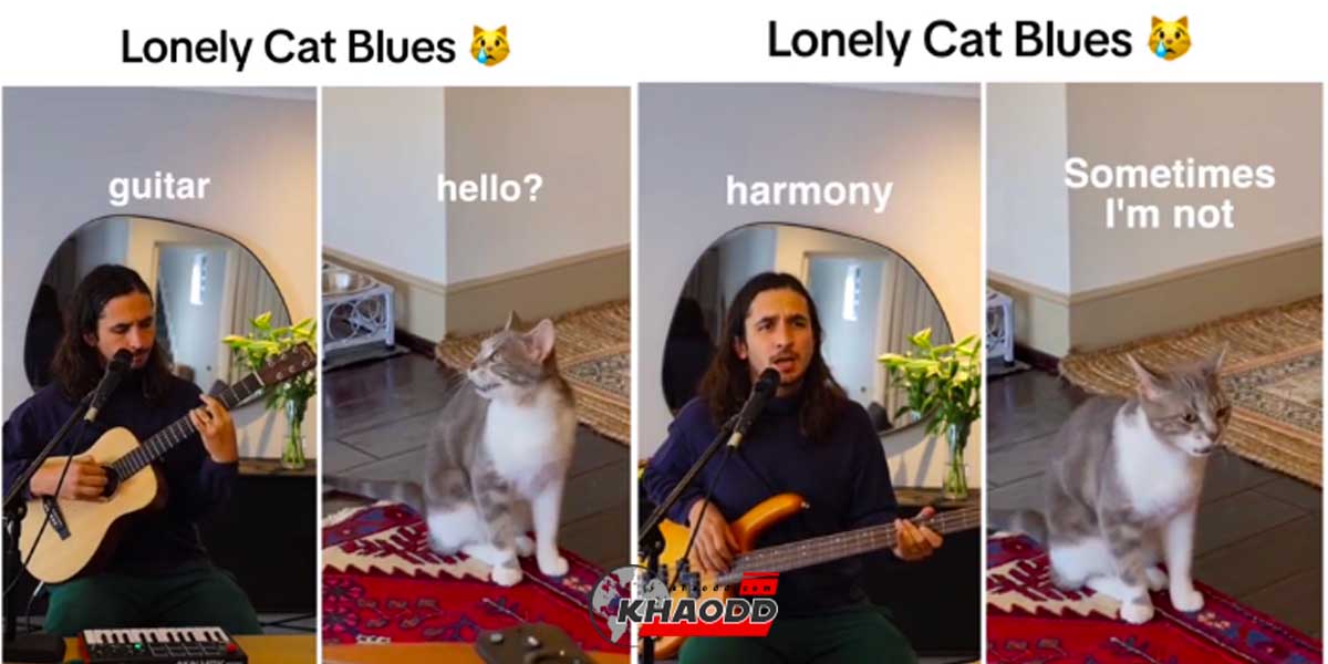 เจ้าของเพลงน้องแมวบ่น “Lonely Cat” กลายเป็นคนดัง เพราะเจ้าเหมียวบ่น!เท่านั้นเอง