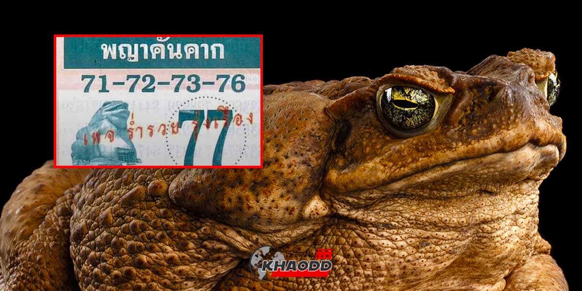 หวยพญาคันคากงวด 16 พ.ย. 66