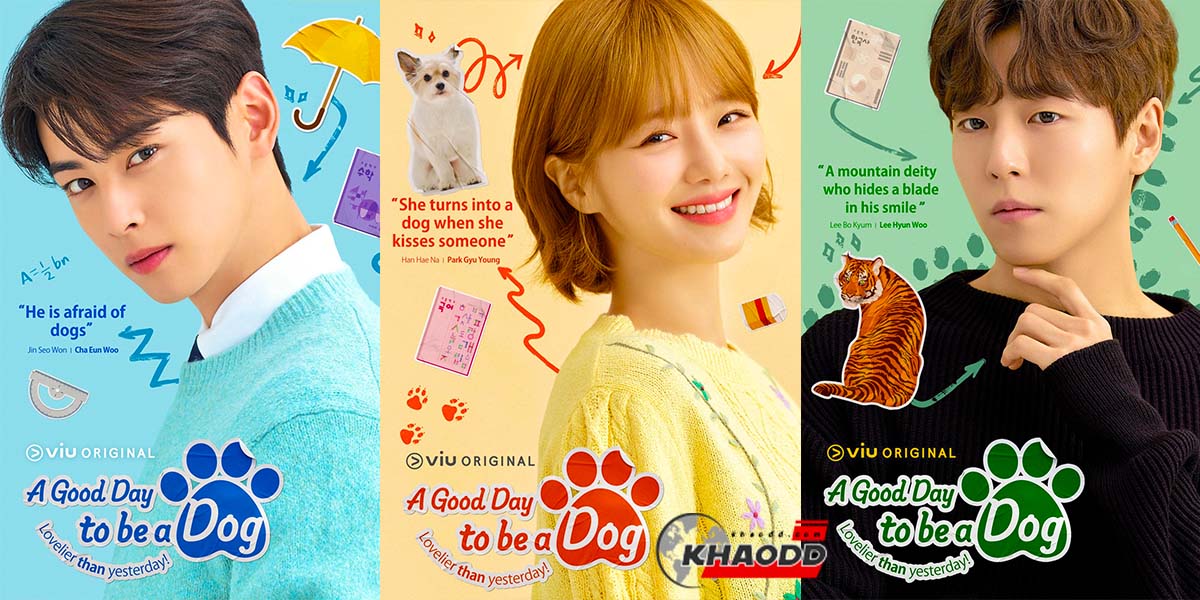 เรื่องย่อ ซีรีส์เกาหลี A Good Day to Be a Dog อะกูดเดย์ทูบีอะด็อก 2023