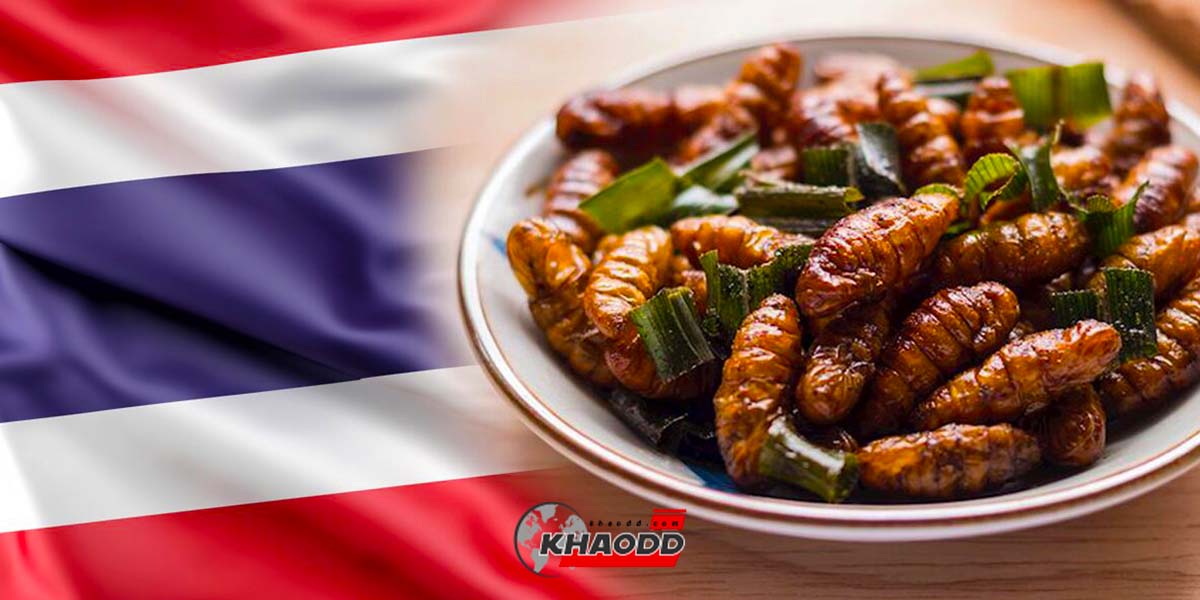 หนอนไหมทอดของไทย ติดอันดับ 2 เมนูอาหารจานทอด “ยอดแย่” ในโลก!