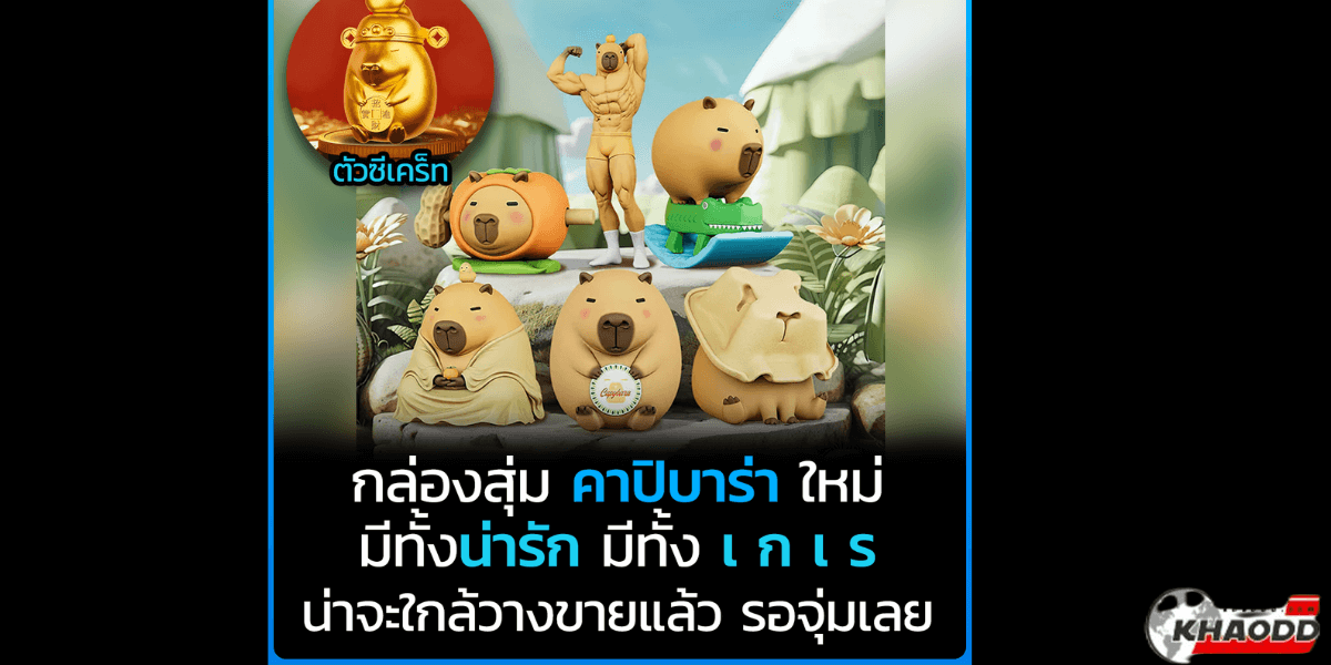 กล่องสุ่ม คาปิบาร่า