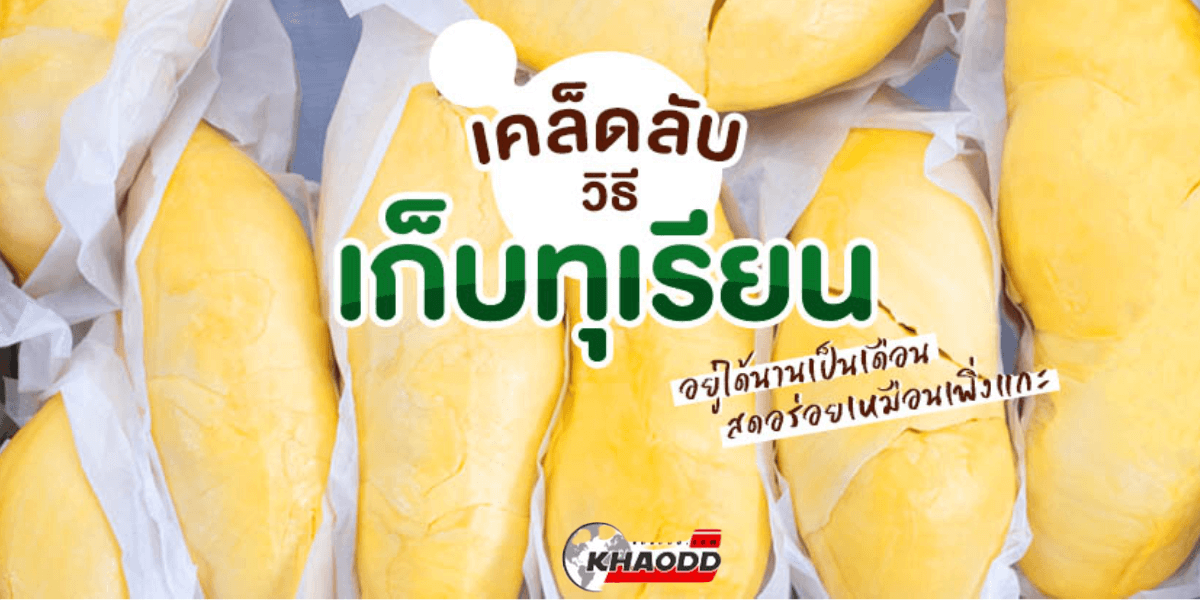 แนะนำวิธีเก็บทุเรียน ไร้กลิ่น