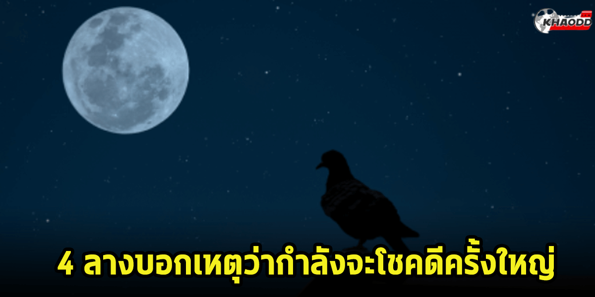 ความเชื่อ 4 ลางบอกจะโชคดี