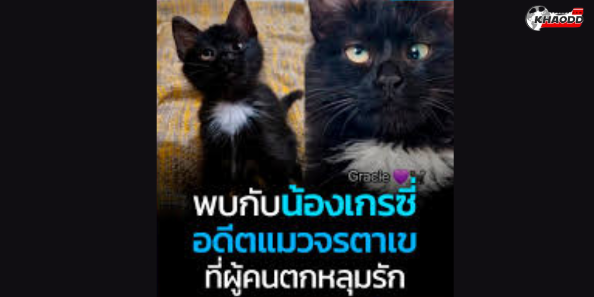 พบกับน้องเกรซี่ (2)