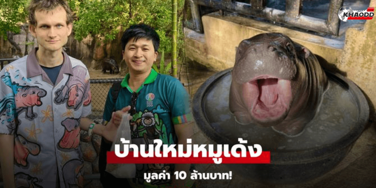 สร้างบ้านใหม่ให้ _หมูเด้ง