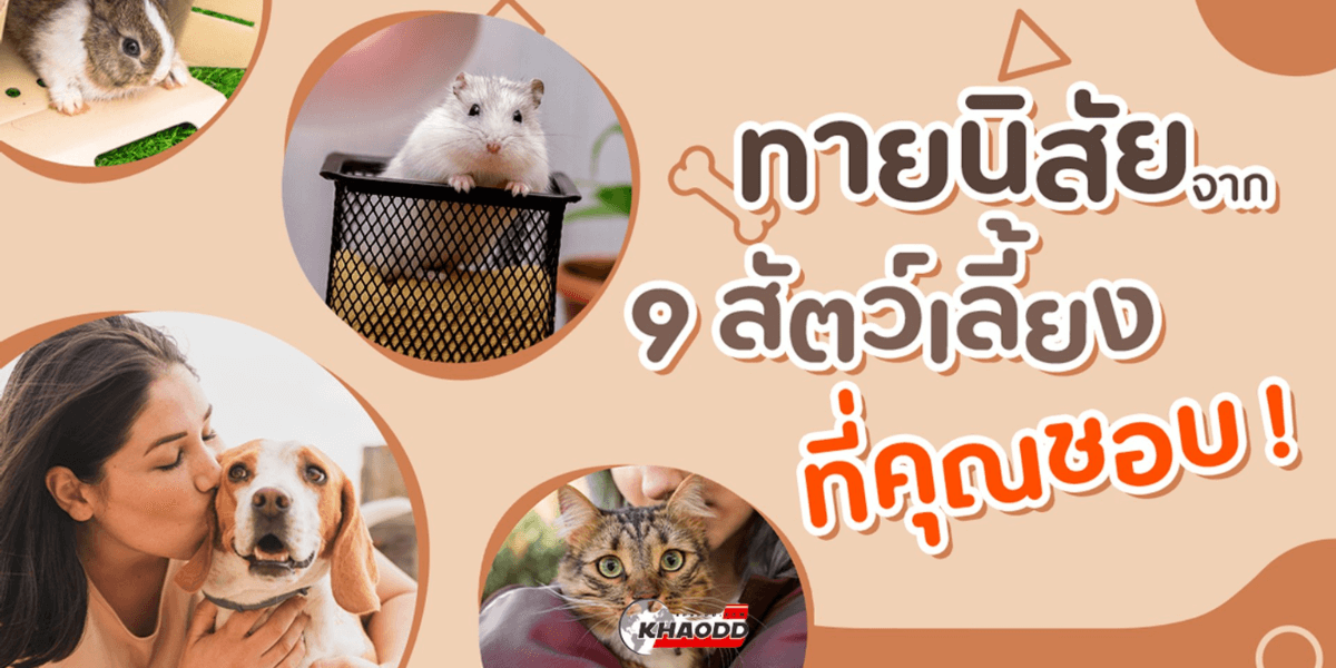 ทายนิสัยจากสัตว์เลี้ยงตัวโปรด