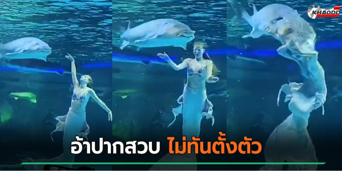 ปลายักษ์สวมหัวเงือก (2)