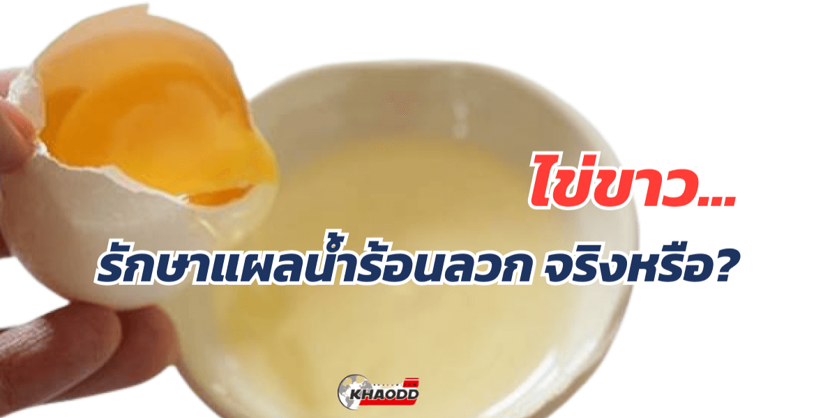 ไข่ขาว_ ทาแผลน้ำร้อนลวก