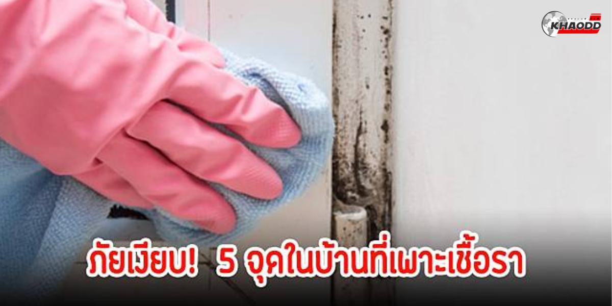 5 จุด “เพาะ” เชื้อรา (2)