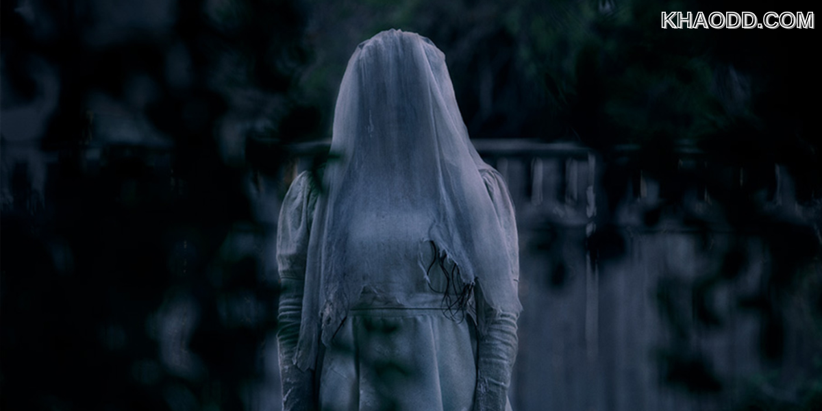 The Aokigahara Forest – ป่าฆ่าตัวตาย (ญี่ปุ่น)