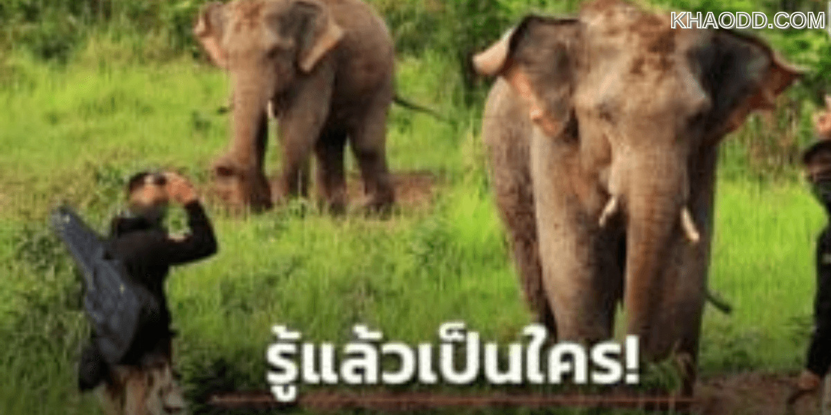 นักท่องเที่ยว_ ถือมีด บุกประชิด _พลายภูผา