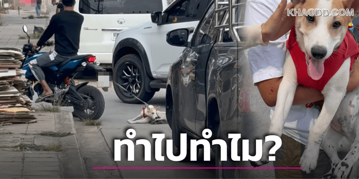เอาน้องหมาผูก ลากไปตามถนน คนใจดีรีบช่วย