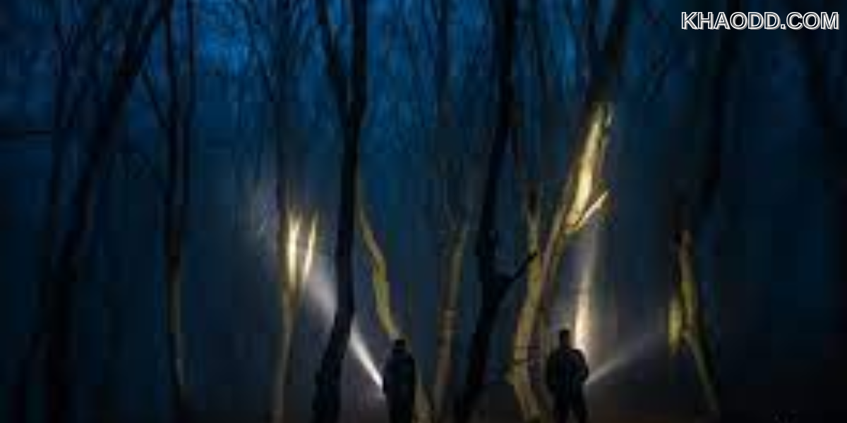 The Suicide Forest of Hoia Baciu (โรมาเนีย) (3)