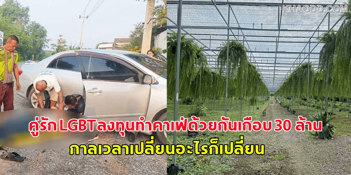 คู่รัก LGBT_ ร่วมลงทุนทำคาเฟ่ 30 ล้าน