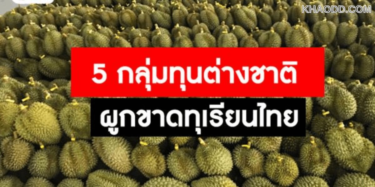 ทุเรียน 3 ชาติสวมสิทธิถล่มไทย สารพัดปัญหา