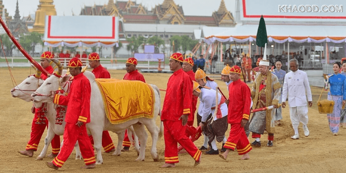 พระนังคัลแรกนาขวัญ ประจำปี 2568