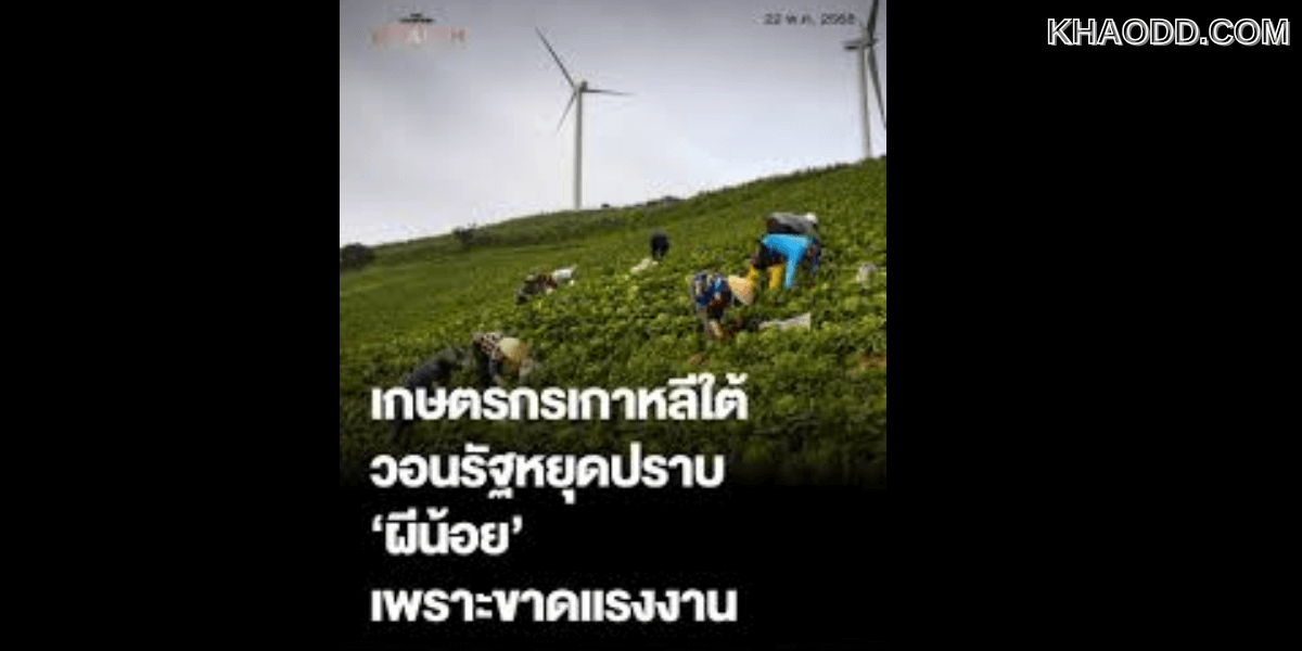 เกษตร วอนรัฐ หยุดปราบ “ผีน้อย” กรเกาหลี