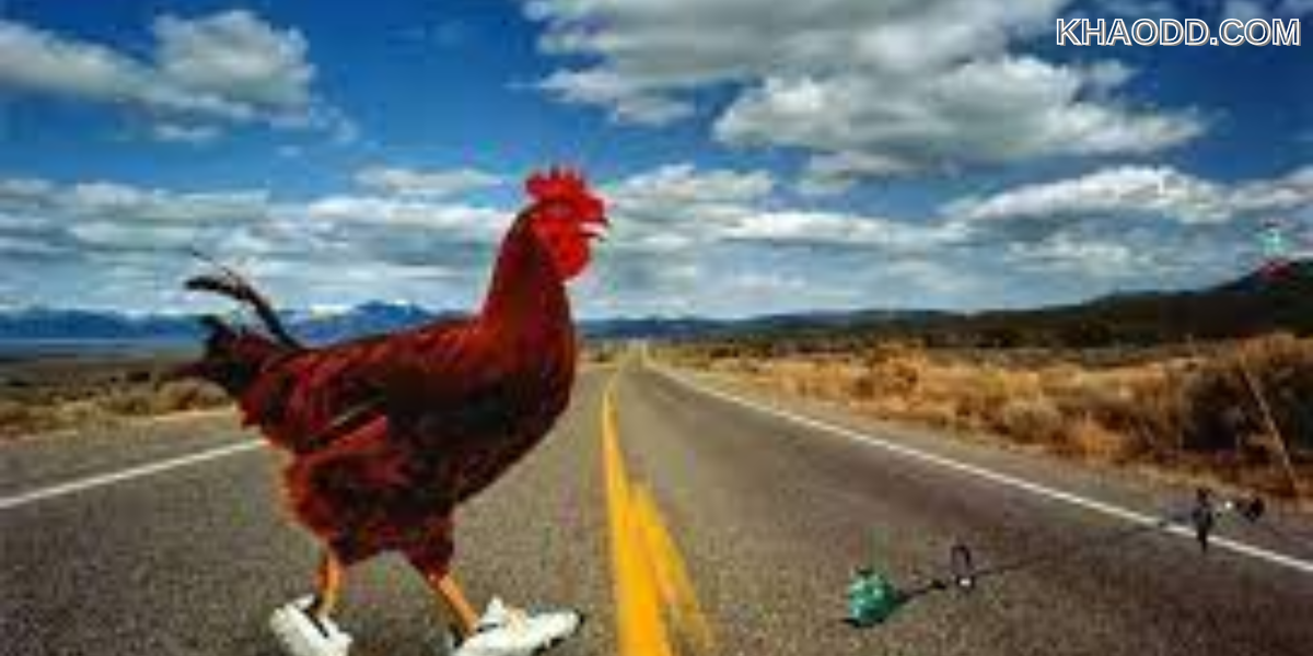 เรื่องที่ 1_ ไก่ข้ามถนน