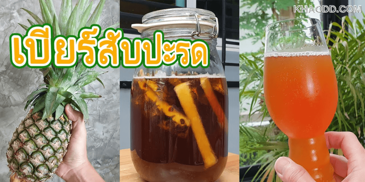 7 น้ำหมักโพรไบโอติกส์ที่เป็นมิตรต่อลำไส้