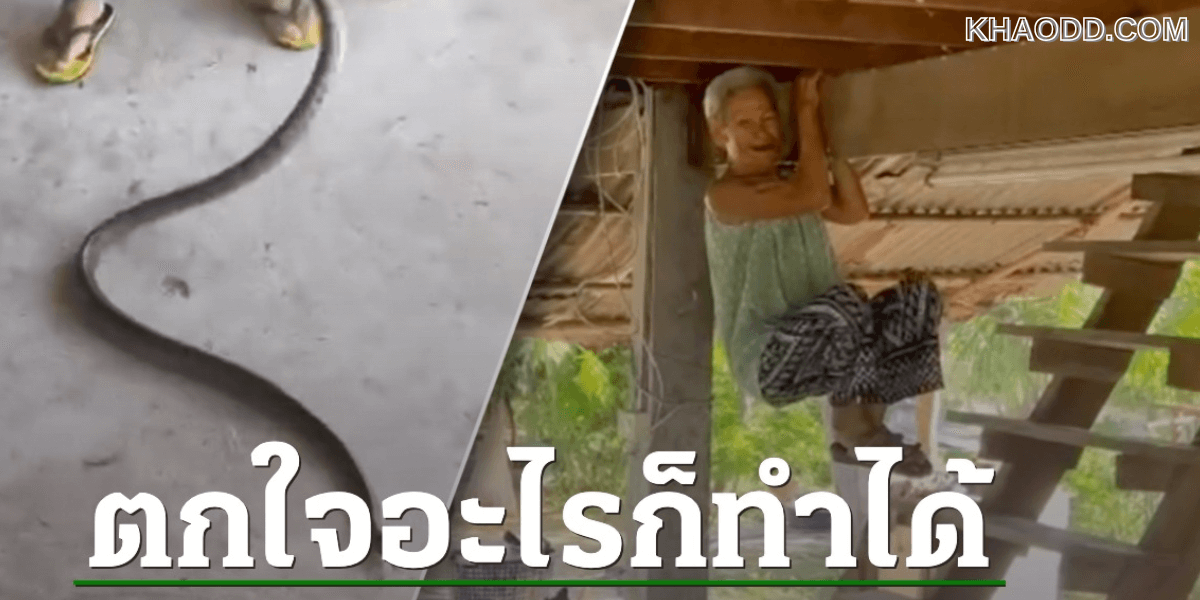 ตกใจอะไรก็ทำได้ คุณยายวัย 80
