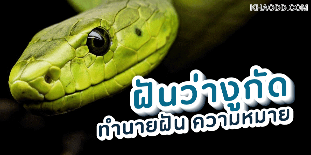 ฝันว่าโดนงูกัดมือ (2)