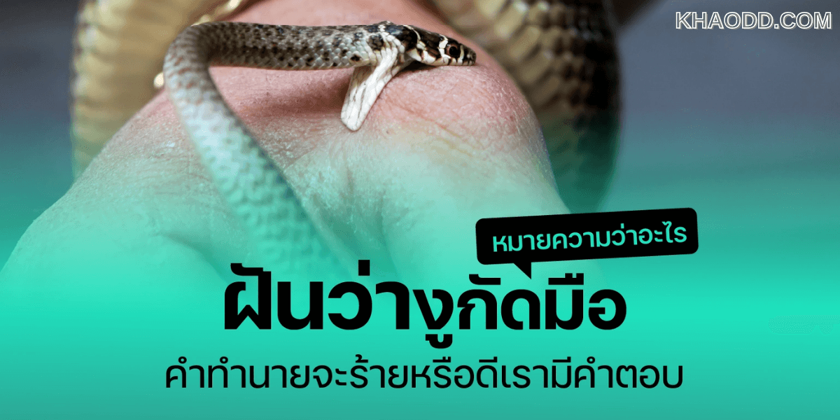 ฝันว่าโดนงูกัดมือ