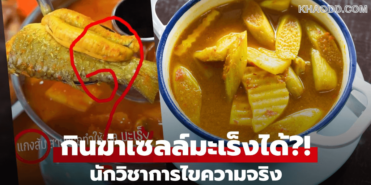 หมอญี่ปุ่น_ เป็นมะเร็งไต (2)