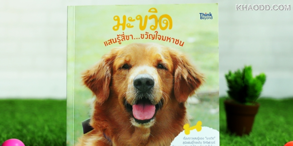เรื่อง_ หมาแสนรู้ (3)