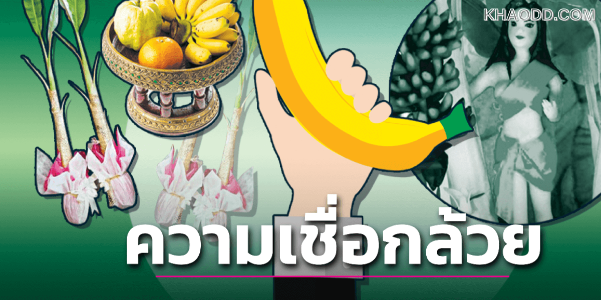 “กล้วย” กับ พิธีกรรมความเชื่อ (3)