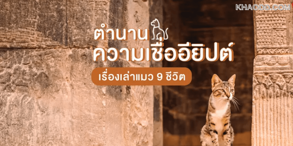 ตำนาน ความเชื่ออียิปต์ เรื่องเล่าแมว 9 ชีวิต