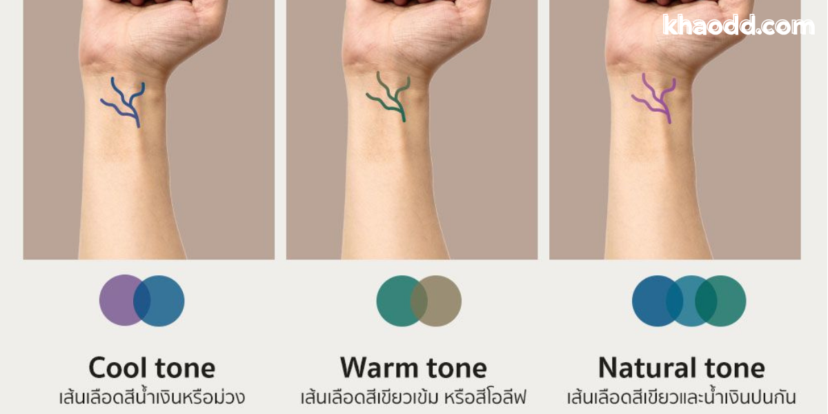 Cool Tone กับ Warm Tone