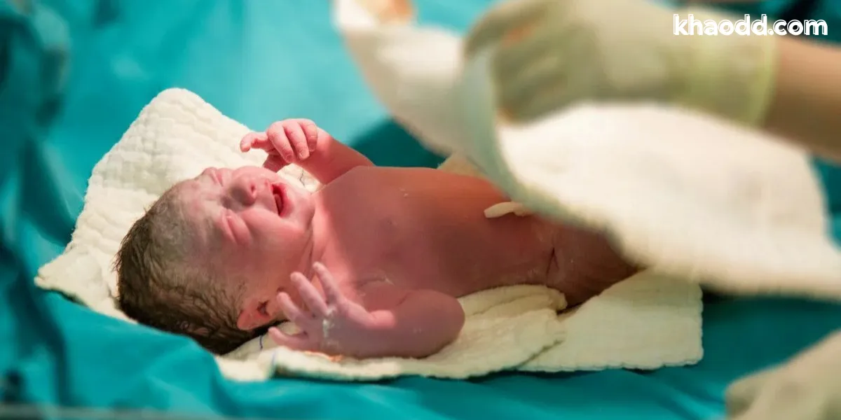 เลขเด็ดจากความฝันว่าคลอดลูก