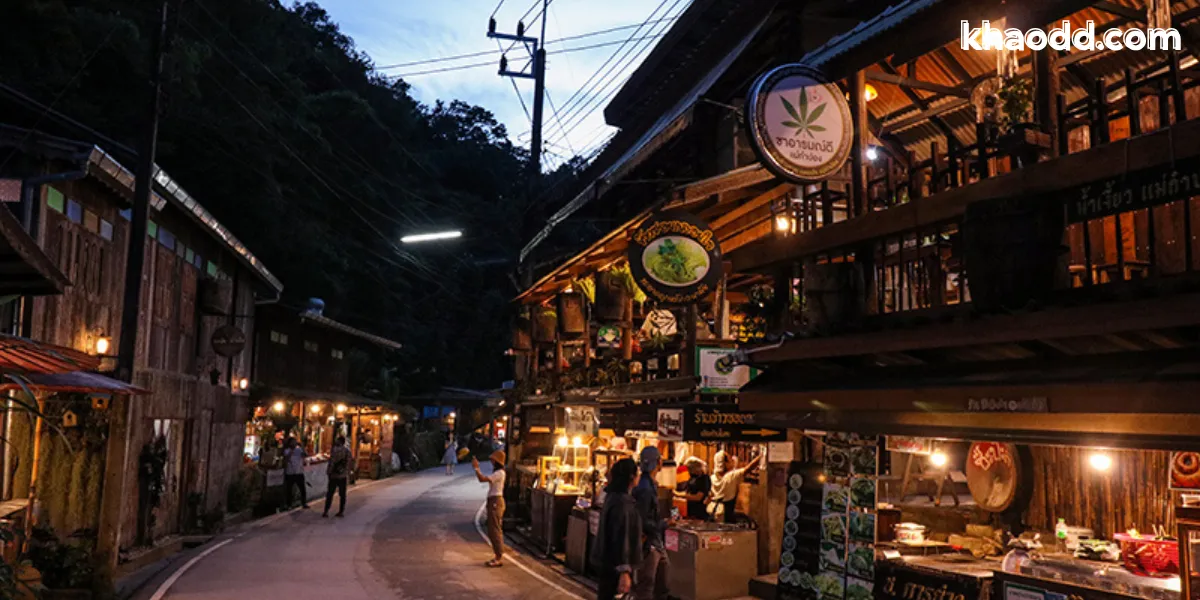 ที่เที่ยวเชียงใหม่ รวม 20 จุดเช็กอินยอดฮิต ธรรมชาติ วิวสวยครบ