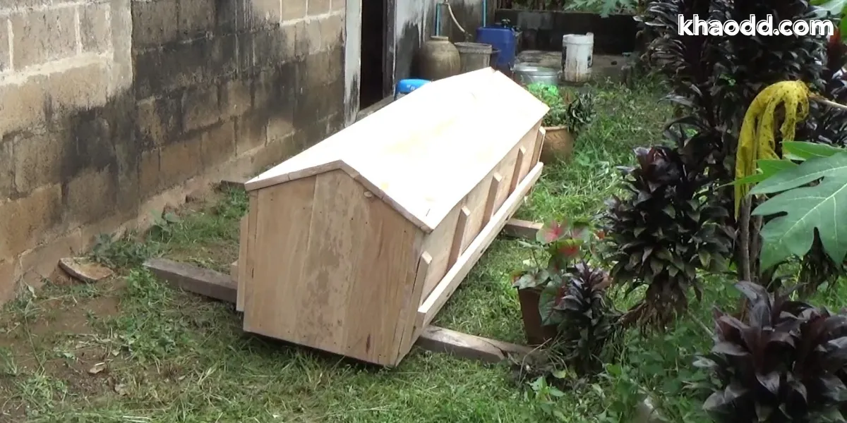 มิก หลงจิ