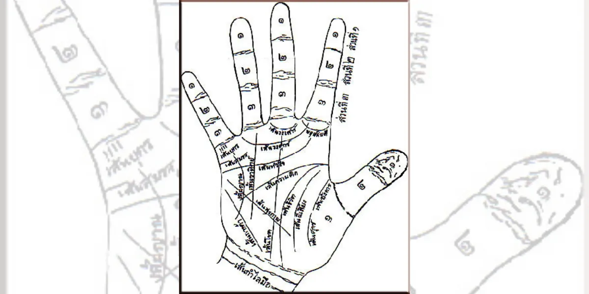 ดูลายมือ ทำนายความคิดและสติปัญญา
