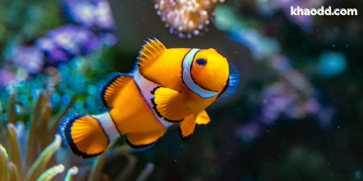 🐠 ปลา – เรียกเงินทองไหลมาเทมา