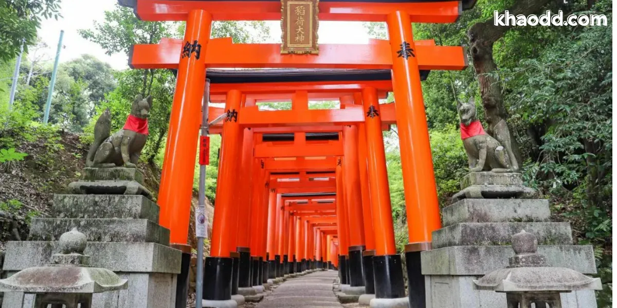 ที่เที่ยวเกียวโต รวมสถานที่เด่น วัดดัง ธรรมชาติสวย และเสน่ห์ญี่ปุ่นดั้งเดิม