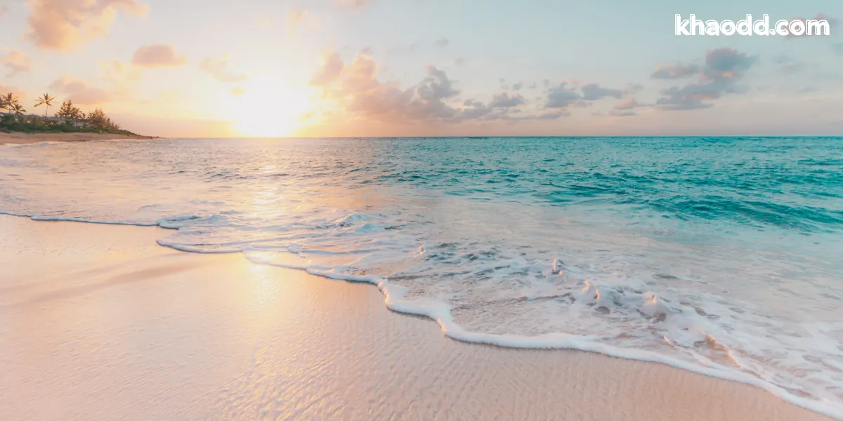 ฝันเห็นทะเลมีปลา หรือสิ่งมีชีวิตมากมาย