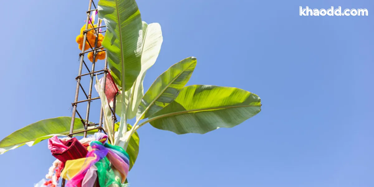 พิธียกเสาเอก ความหมาย ขั้นตอน และเคล็ดลับเพื่อความมั่นคงของบ้าน