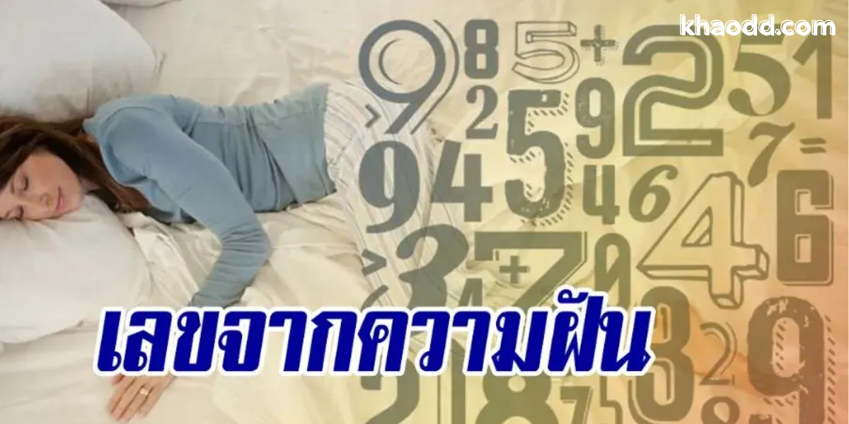 ตีเลขจากความฝัน รวมวิธีแปลความหมายความฝันให้เป็นเลขเด็ดตามตำรา