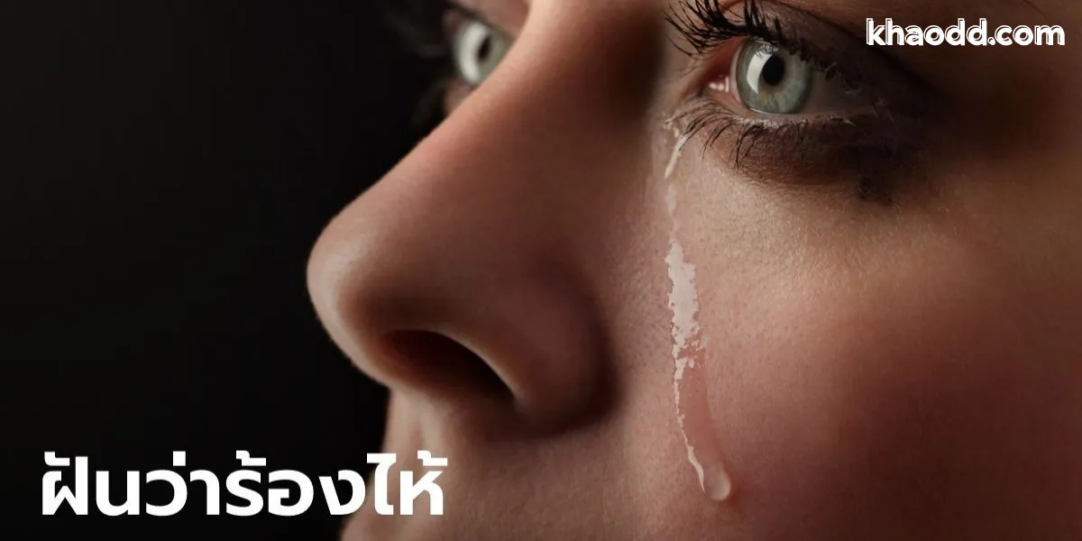 ฝันว่าร้องไห้