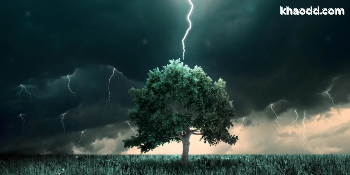 ฝันเห็นฟ้าผ่า: ตีความความฝัน สัญญาณชีวิต และแนวทางรับมืออย่างเข้าใจ