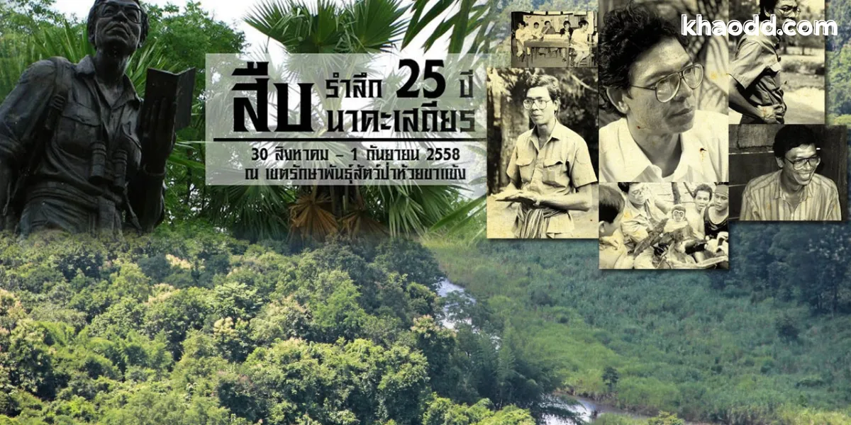 ที่เที่ยวห้วยขาแข้ง เปิดพิกัดธรรมชาติอุดมสมบูรณ์ มรดกโลกของไทย