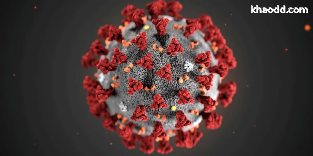  อาการไวรัสนิปาห์ คืออะไร อันตรายแค่ไหน รู้ทันก่อนเสี่ยงชีวิต